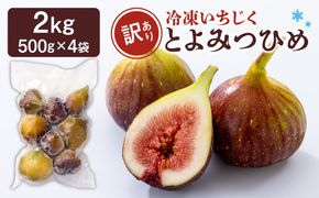訳あり冷凍いちじく（とよみつひめ」）2kg【JAほたるの里】_HA1659