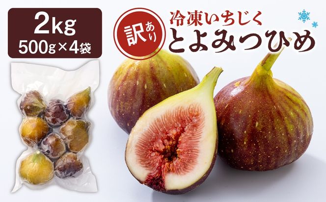 訳あり冷凍いちじく（とよみつひめ」）2kg【JAほたるの里】_HA1659