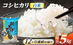 【12回定期便】コシヒカリ 白米 5kg×12か月 / 脇野コンバイン[AECP026]