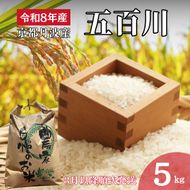 令和8年産 京都丹波産 五百川 5kg 精米 お米 新米 南丹市 京都 令和8年 5キロ 新米26　米 コメ 白米 ごはん 白飯 京都府 南丹市