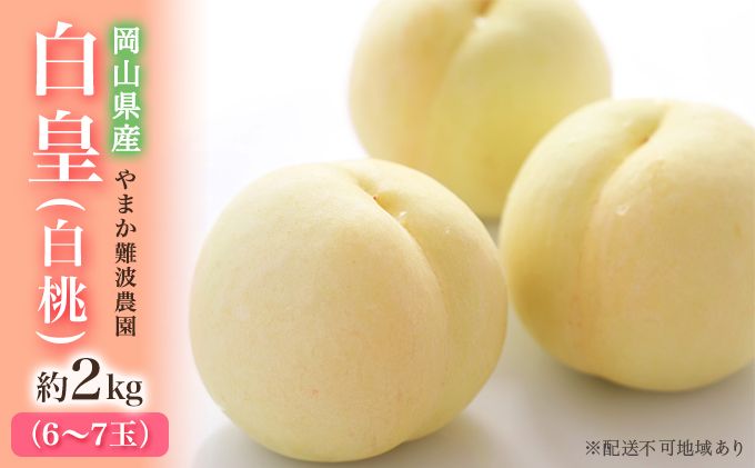 桃 [ 2027年 先行予約 ] 岡山県産 白皇 ( 白桃 ) 約2kg(6〜7玉) [2027年8月中旬〜下旬頃出荷] 白桃 岡山 はくとう フルーツ 果物 先行予約 数量限定 期間限定 里庄町 モモ もも