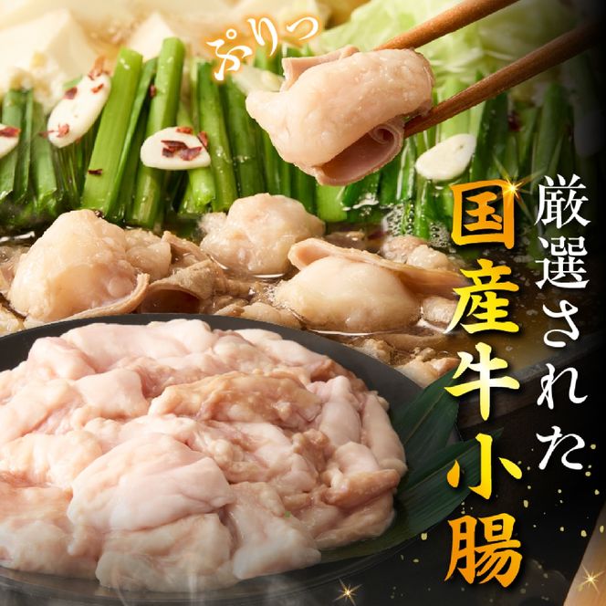 【秘伝熟成スープ】冷凍 もつ鍋セット（3人前）（ 牛肉 黒毛和牛 ホルモン もつ もつ鍋 鍋セット もつ鍋セット 鍋）