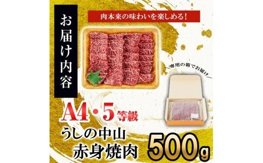 うしの中山 赤身焼肉用500g×1P b3-021