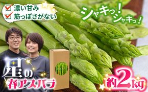 【2027年3月～発送】【数量限定】甘い！柔らかい！【星のアスパラ】厳選 グリーン アスパラガス 約2kg / アスパラ アスパラガス 野菜 厳選 / 南島原市 / ほしのYA [SEY002]