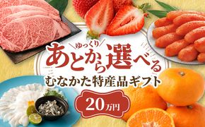あとでゆっくり選べる！むなかた特産品20万円コース_HY0020