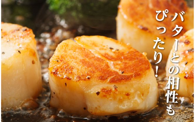 北海道産 冷凍 帆立貝柱 500g (18玉前後) ホタテ ほたて 玉冷 魚貝類 