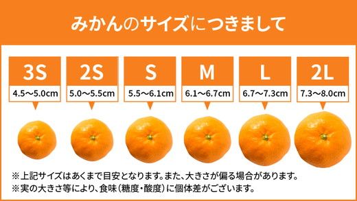 【先行予約】 有田みかん 秀品 約5kg サイズ混合 和歌山県産