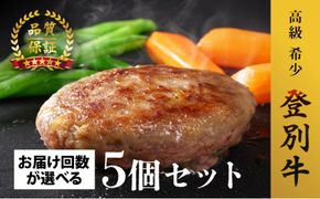 定期便も選べる！ 登別牛100％使用ハンバーグ 120g×5個（単品／定期便）