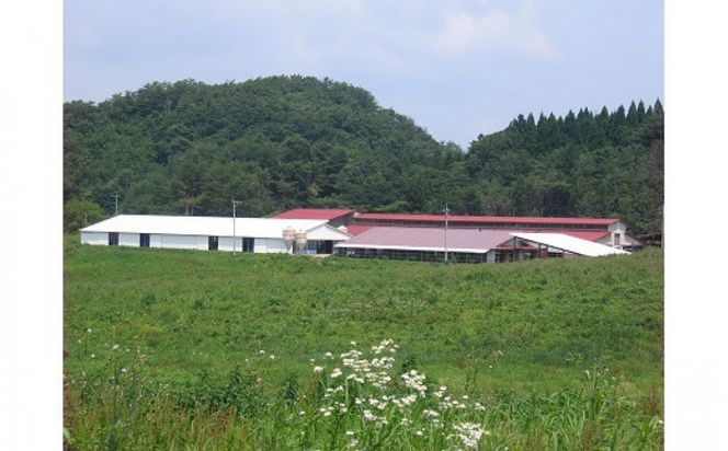 藤増 しまね和牛肩ロース スライス 550ｇ【冷蔵】 322032_DS025