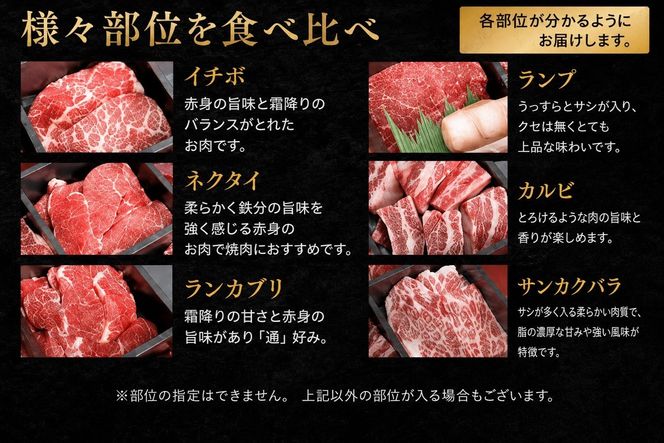 焼肉 北海道産 星空の黒牛 厳選9種 食べ比べ 約630g 牛肉 【 肉 にく ニク 牛肉 牛肉赤身 赤身 牛肉セット バーベキュー 冷凍牛肉 贅沢牛肉 国産牛肉 北海道産牛肉 道産牛肉 簡単 お手軽 特製牛肉 標茶町 北海道 】 016641_AD005