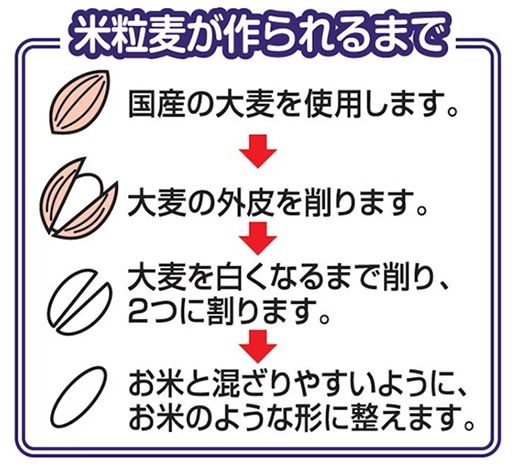 【はくばく】米粒麦スタンドパック ６袋（１袋５４０ｇ）　国産大麦 食物繊維 麦 むぎ むぎご飯 麦ごはん 麦ご飯 白い麦 個包装 スティック