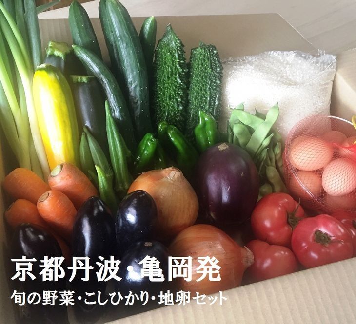 京都丹波・亀岡発 旬の野菜・こしひかり・地卵 詰め合わせセット◇ ※北海道・沖縄・離島への配送不可