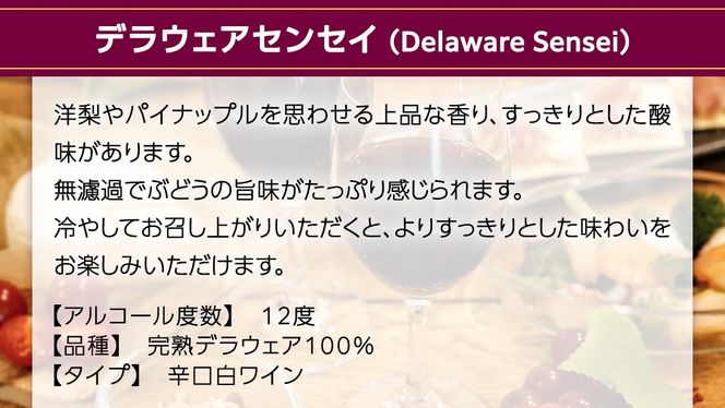 デラウェアセンセイ Delaware Sensei 750ml×1本 茨城県産 牛久醸造場 日本ワイン ワイン 白ワイン 750ml ミディアムボディ お酒 贈り物 葡萄 ぶどう [BJ060us]