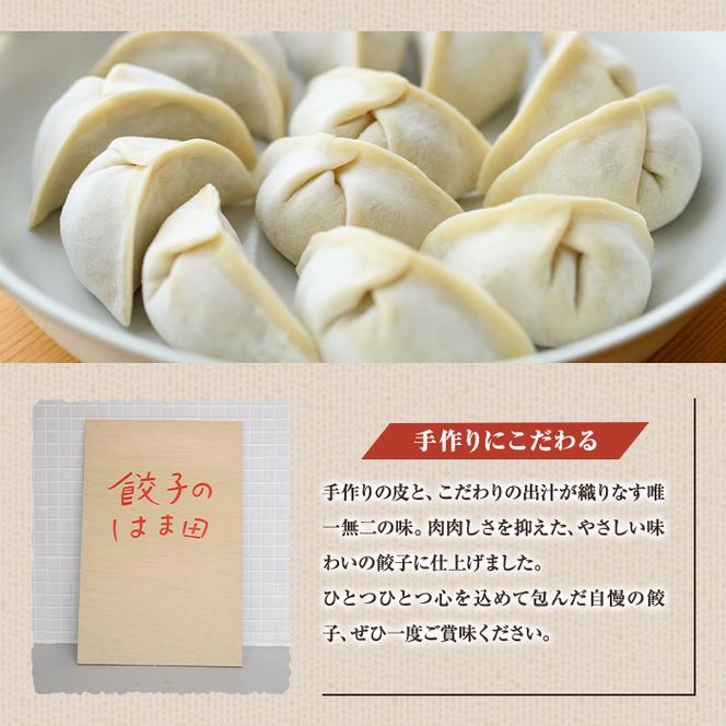 手づくり和餃子セット(ニラ餃子12個入×4袋+大葉餃子12個入×4袋・合計96個) 餃子 生餃子 ギョウザ ぎょうざ ギョーザ セット 詰め合わせ おかず お惣菜 冷凍 和風 水餃子 にら ニラ 大葉 手作り 食べ比べ 【餃子のはま田】akn096-04