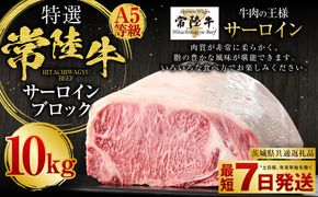 【特選】常陸牛（ひたちぎゅう）A5等級 サーロインブロック 10kg（茨城県共通返礼品 茨城県産）