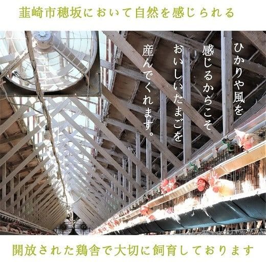 こだわり卵 穂坂のももたま 10個×3 計30個 [ハイチック 山梨県 韮崎市 20741987] 卵 たまご エコパック ももいろ ピンク かわいい