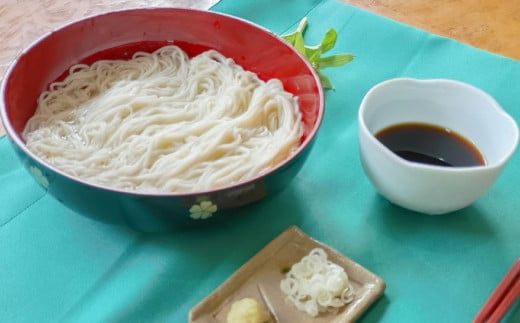 生そうめん 100g×5人前×2セット | そうめん 10人前 10食 セット 麺 麺類 辛汁 冷凍 茨城県 守谷市