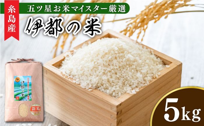 [令和6年産]伊都の米 5kg 糸島市 / 納富米穀店 [ARL001] 米 お米 ご飯 白米 九州 5キロ 5kg 令和6年産