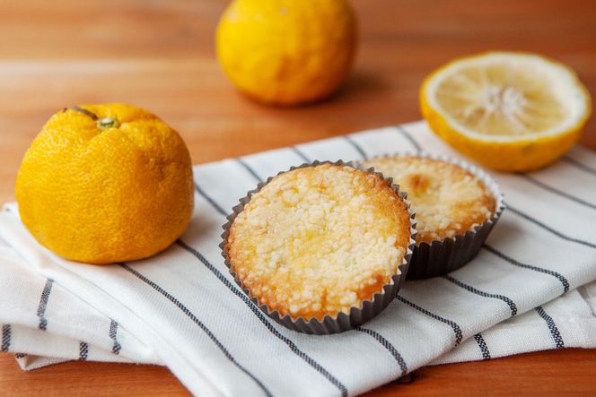 ゆずショコラ & はまぐりもなかくっきー & 人気タルト 15個 セット [コヤマ菓子店 宮城県 気仙沼市 20565133] 菓子 焼き菓子 クッキー モナカ 最中 ゆず 柚子 タルト 個包装 詰め合わせ