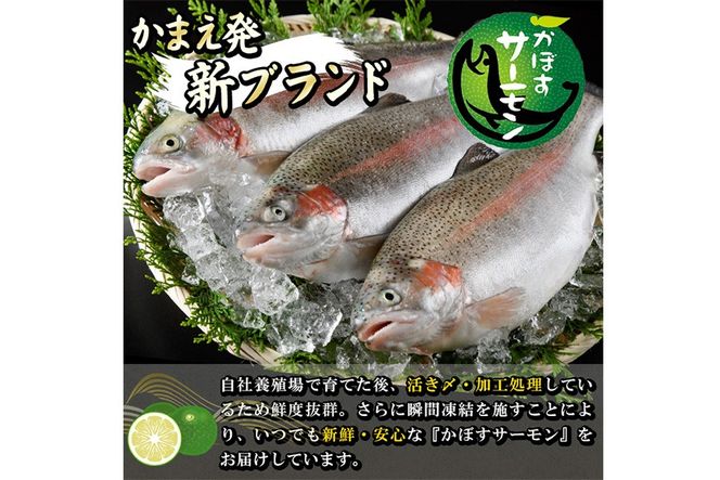 ＜期間限定＞ 大分 かぼすサーモン フィレ(350g以上) 魚 かぼす サーモン 刺身 冷凍 養殖 国産 個包装 大分県 佐伯市【EA32】【トーワ】