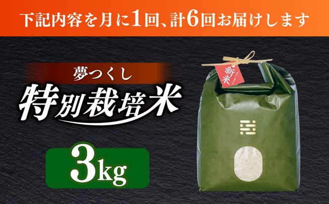 【全6回定期便】 とくべつ の中の とくべつ  特別栽培米 夢つくし 3kg 【築上町】 / itoshimacco / 株式会社やました[ABEX003]