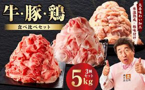 mrzZ083 【定期便】国産 牛肉＆豚肉＆鶏肉セット 5kg×全2回【氷温熟成×極味付け 3種 食べ比べ 普段使い 味付き 小分け 訳あり サイズ不揃い  2026年2月＆5月発送】