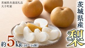 梨 10～14個【2026年9月より発送開始】（茨城県共通返礼品 [梨]：大子町産）田舎の頑固おやじが厳選！ [BI141-NT]
