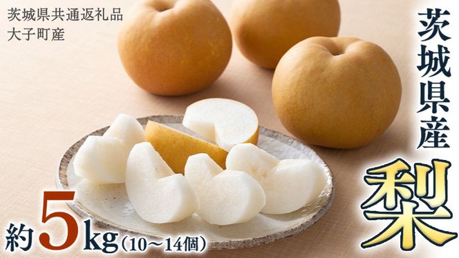 梨 10～14個【2025年9月より発送開始】（茨城県共通返礼品 [梨]：大子町産）田舎の頑固おやじが厳選！ [BI141-NT]