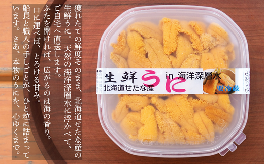 【2026年6月上旬から順次発送】【海洋深層水使用】北海道産 生うに 120g×1個 キタムラサキウニ 直送 旬 パスタ 寿司 焼き うに丼 海鮮 せたな町 ふるさと納税