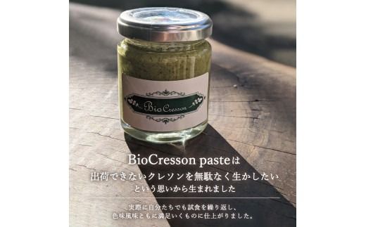 富士吉田市のクレソンペーストセット　クレソン 300g ペースト 2本セット 野菜 サラダ 食品添加物不使用 山梨 富士吉田