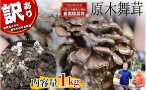 【2026年発送分先行予約】訳あり 丹波山村産 原木舞茸 約1kg 2026年秋頃より順次発送予定 / 丹波山名産 希少 無農薬 無添加 舞茸 まいたけ わけあり 規格外 正規品より若干小振り 原木栽培 きのこ キノコ 産地直送【tab0240】