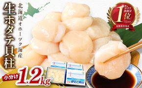 【予約：2026年6月から順次発送】北海道オホーツク海産 ホタテ貝柱 1.2kg 生食用 ( 海鮮 魚介 魚介類 貝 ほたて 刺身 貝柱 海鮮丼 贈答 ギフト 小分け 帆立貝柱 人気 ふるさと納税 ホタテ )【037-0021】