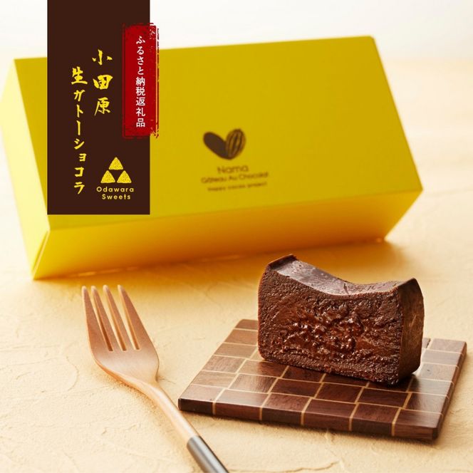 極上の口溶け。幸せの生ガトーショコラ 200g 【 濃厚  極上スイーツ グルテンフリー チョコ ショコラテリーヌ 高品質クーベルチュールチョコレート使用 一流シェフ 神奈川県 小田原市 】 142069_DW018