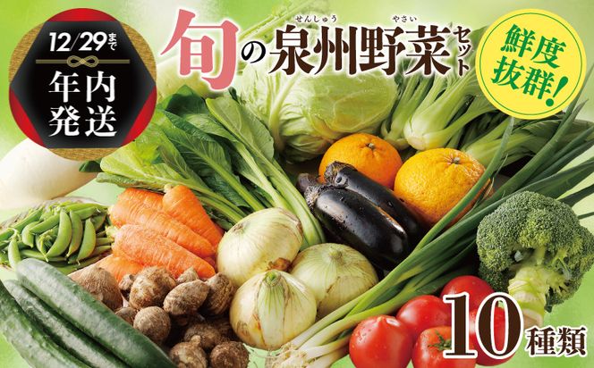 099H2491y 【年内発送】 新鮮 野菜セット 詰め合わせ 10種類 国産 旬 お試し おまかせ お楽しみ