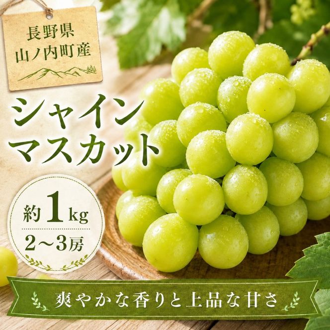 【2026年9月～発送】シャインマスカット約1kg 2～3房 長野県産