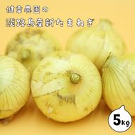 淡路島産新玉ねぎ 5kg　玉ねぎ