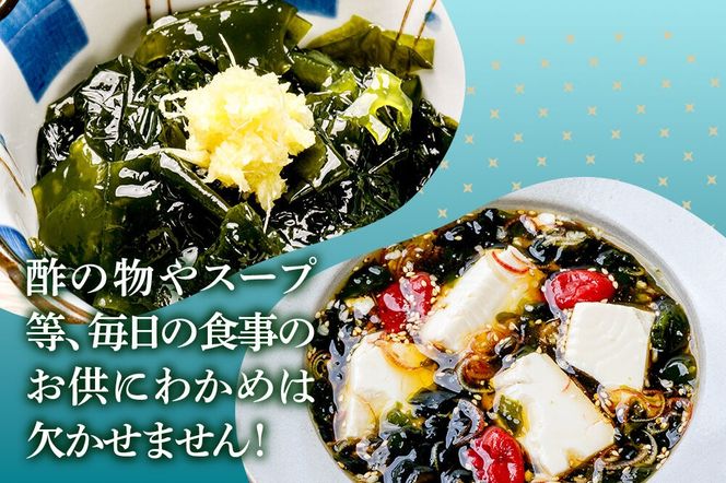わかめ 男鹿名物とろとろわかめ 200g×10個セット 男鹿なび [ワカメ 冷凍 男鹿市 名産 秋田 海藻 サラダ みそ汁]|23_ogn-401001