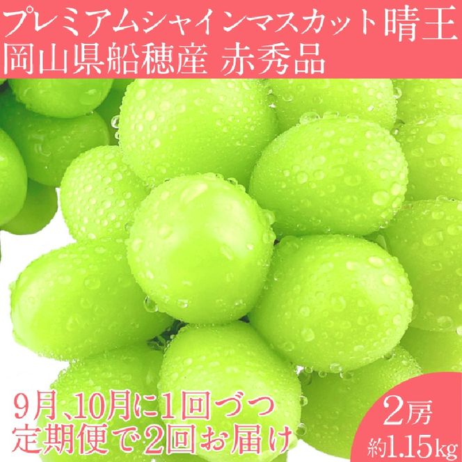 2026年 先行予約【2回定期便】 プレミアム シャインマスカット 晴王 2房約1.15kg/ 岡山県 船穂産 赤秀品 種無し 皮ごと食べる みずみずしい 9月10月に1回づつ届け フレッシュ 晴れの国 おかやま 果物大国 彩美菜果