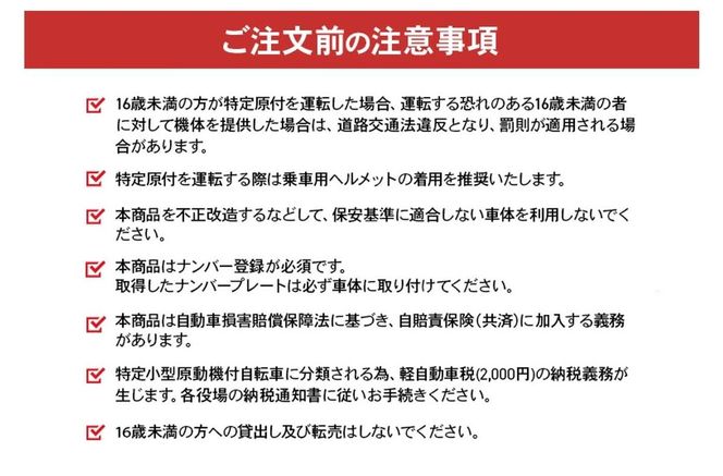 【特定小型原付モデル】【２台セット】公道走行が可能な電動キックボード YDX3【ハセガワモビリティ×YADEA】（800-4）