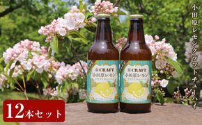 小田原レモンクラフトチューハイ　12本セット| チューハイ レモン お酒 ドリンク 飲み物 飲み比べ ギフト プレゼント 神奈川県 小田原市 142069_AX012