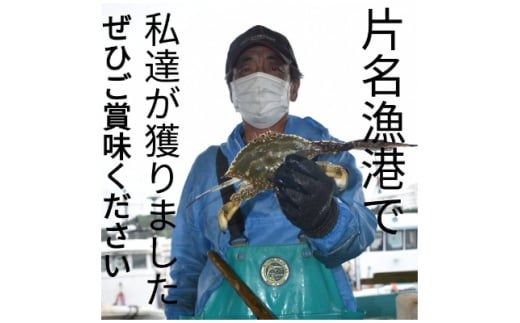 ワタリガニ 600g 3杯 冷凍 ボイルワタリガニ 渡り蟹 海鮮 新鮮 魚介 海の幸 海産物 シーフードエム・エム 愛知県 南知多町