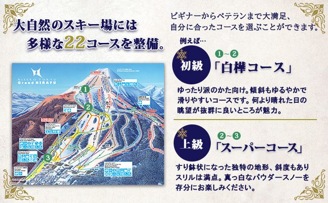 【CF】ニセコ 全山共通 リフト券 All Mt.Pass 1日券 【10枚】 2025-2026シーズン スキー リフト券 スポーツ 羊蹄山 雪 パウダースノー ニセコ 倶知安町 スキーチケット 