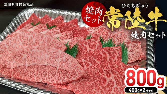 y錧vszy헤zēZbg 800g (400g×2pbNj (錧ʕԗi) Y    Ă o[xL[ BBQ JmR TJNo ~XW C`{ TT~ Uug VV JCm~ {W[ ^eo Opo TCRXe[L T[C u[