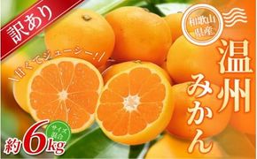 【訳あり】 温州みかん 約6kg 和歌山県産 2S~2Lサイズ混合※2025年11月上旬～2026年2月中旬ごろに順次発送【mrmt009】