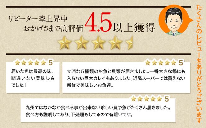【2026年8月下旬発送】訳あり 北海道のおさかな屋さんの まかないセット 最大約4kg 魚 魚介 訳あり