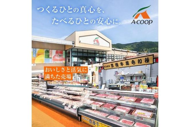  おおいた 豊後牛 サーロイン ステーキ (計400g・200g×2枚) 国産 豊後牛 牛肉 BBQ バーベキュー ステーキ 惣菜 おかず 冷凍 大分県 佐伯市【CQ13】【 (株)Aコープ九州鶴見店】