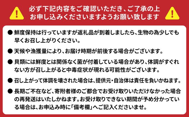 【先行予約】 牡蠣 鏡オイスター 生食用 3kg オイスター 生かき 新鮮 おつまみ BBQ 【2025年12月中旬より順次発送】