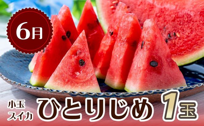 【全3回 定期便】 紀州和歌山産旬のフルーツセット（6月：スイカ・7月：桃・8月：梨） ［UT138］ 303446_XF91184