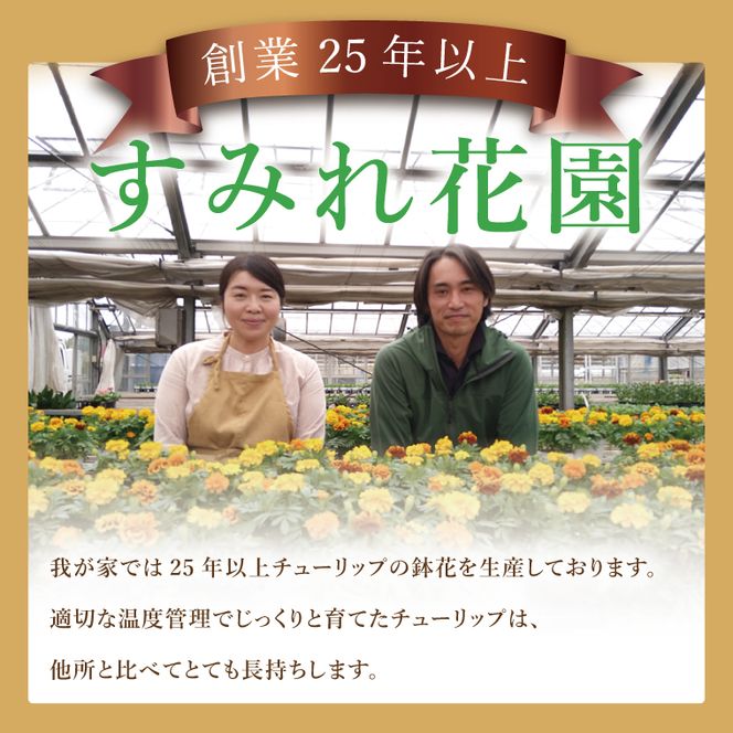 行方市の花農家「すみれ花園」季節の寄せ植えワークショップ(8号サイズ鉢)｜花 お花 季節の花 ワークショップ 体験 体験チケット ラーケーション ガーデンセラピー 寄せ植え 茨城県 行方市(EH-30)