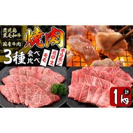 【焼肉3種！食べ比べセット】鹿児島県産黒毛和牛 モモ・肩ロース・国産ホルモンの焼肉3種セット＜計1kg＞ b2-030